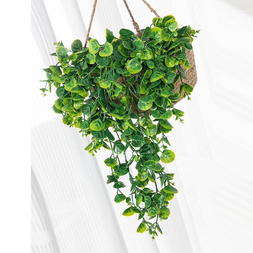 Eucalyptu Fern Rattan Artifici - Artificial Hanging Plants recension och pris