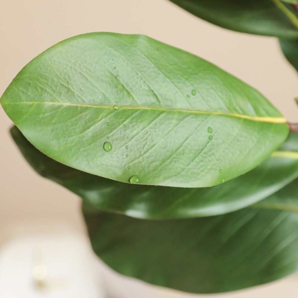 57cm Artificial Magnolia Leave - Artificial Hanging Plants recension och pris
