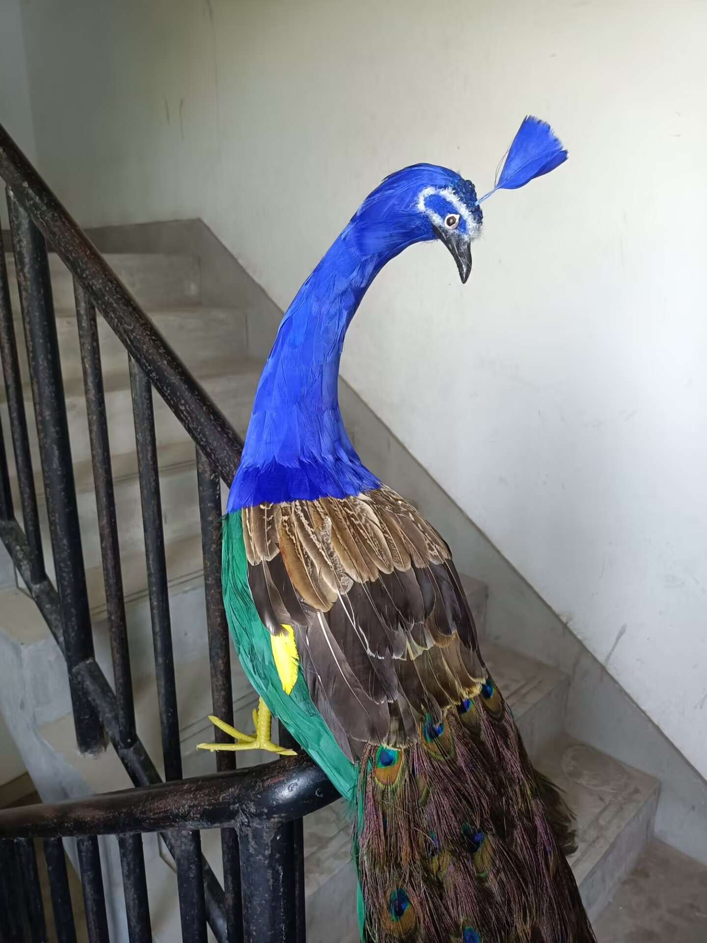 105cm Realistic Peacock Model  - Home Decor Design Ideas recension och pris