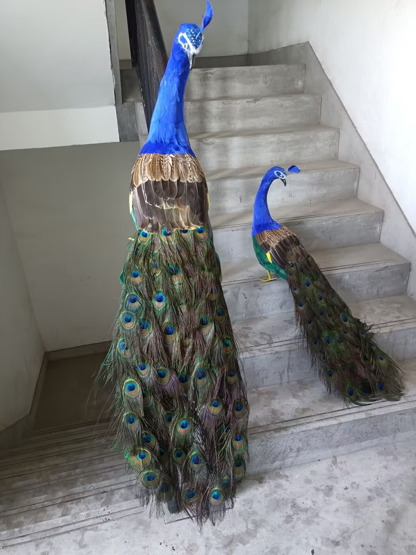 105cm Realistic Peacock Model  - Home Decor Design Ideas recension och pris